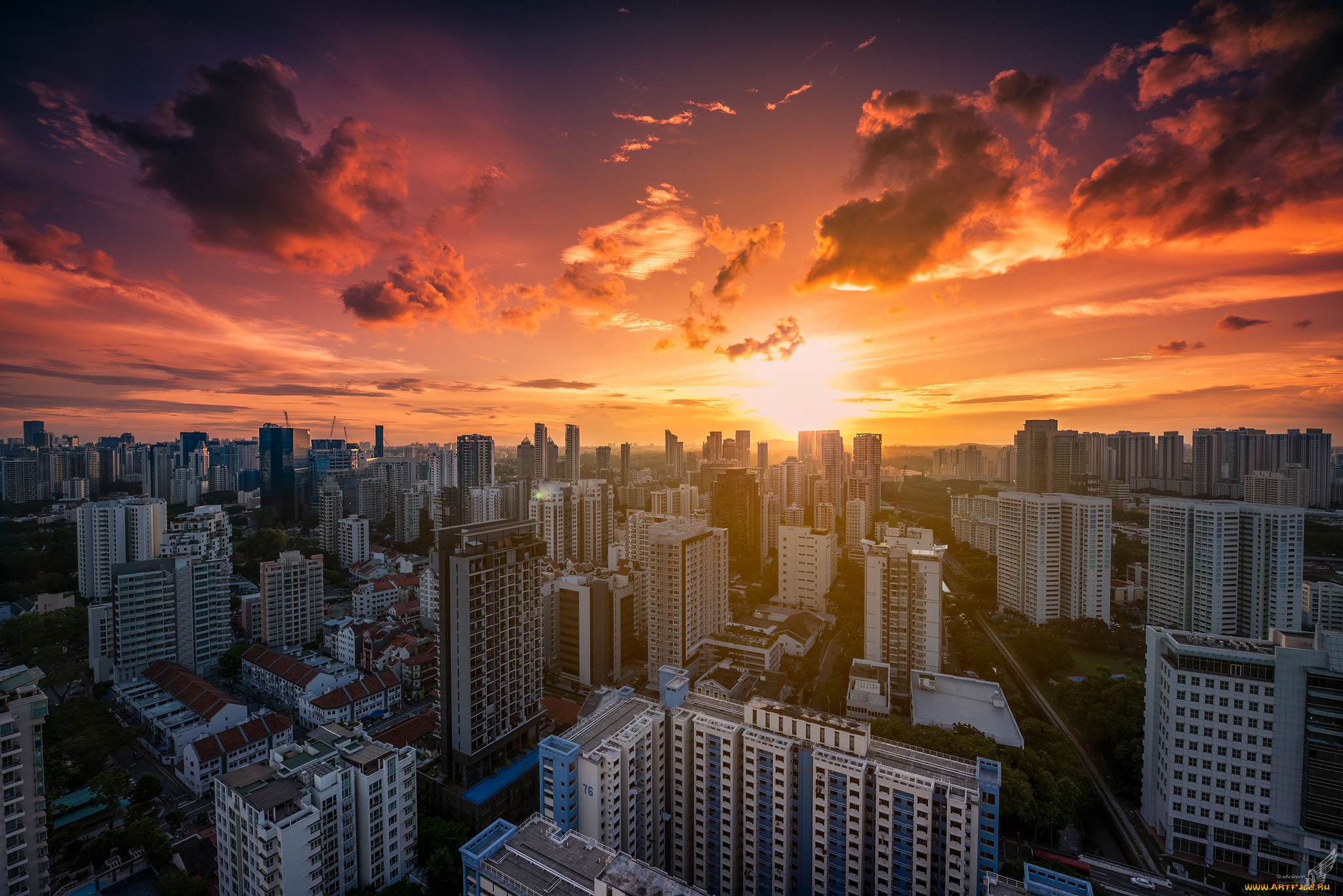 whampoa city, , - , 